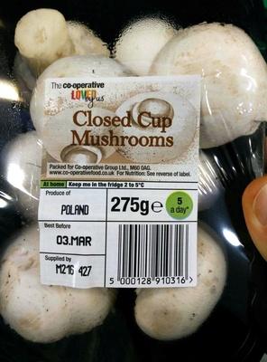 Closed Cup Mushrooms