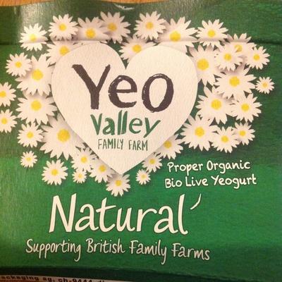 Natural Proper Organic Bio Live Yeogurt