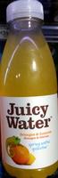 Juicy Water Oranges & Citrons Report Card