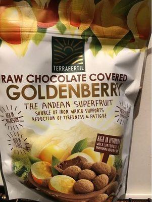 Raw Chocolate Covered Goldenberry