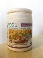 VEG 1, 90 Multivitamin Chewable Tablets Report Card