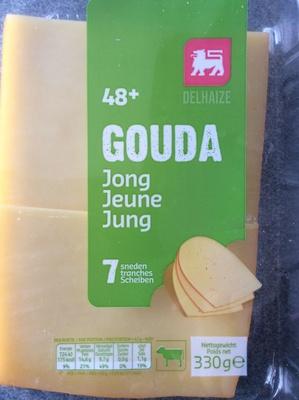 Gouda Jeune