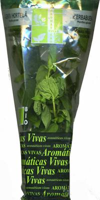 Planta De Hortel-verde