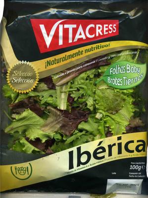 Ensalada Ibrica