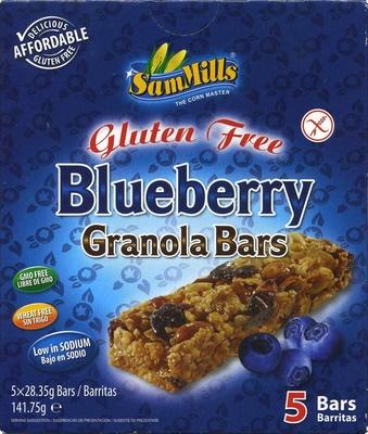 Gluten Free Blueberry Granola Bars