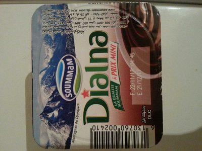 Dialna