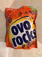 Ovo Rocks Report Card