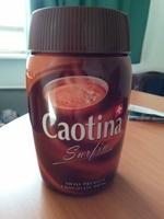 Caotina Surfin Report Card