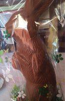 Lapin En Chocolat Au Lait Suisse Report Card