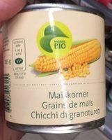 Grains De Mas Report Card