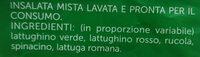 Misticanza Ingredients