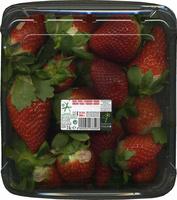 Fresones Report Card