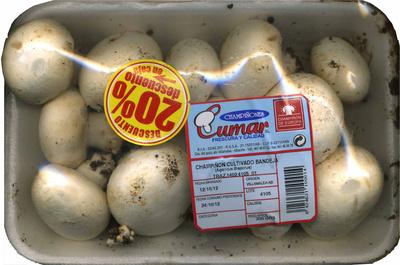 Championes Enteros &quot;Championes Cumar&quot;