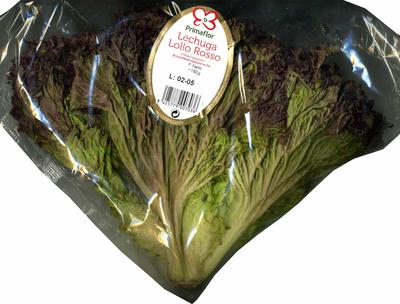 Lechuga Lollo Rosso