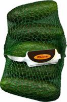 Pepinos "Perichn" Tipo Espaol Report Card