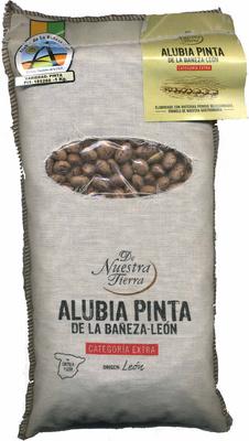 Alubias Pintas Origen La Baeza-Len