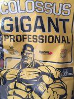 Colossus Gigant Report Card