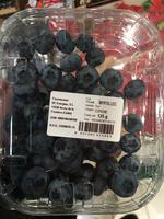 Myrtilles Report Card