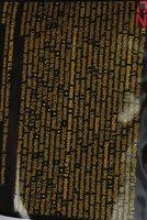 N1 Pre-workout Ingredients