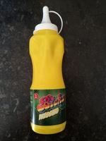 Bicky Dressing  Report Card