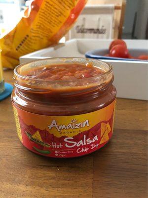 Hot Salsa Chip Dip