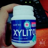 Lotte Gum Report Card