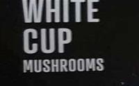 Coles Australian White Cup Mushrooms Ingredients