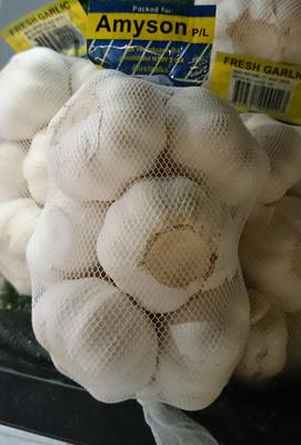 Fresh Garlic