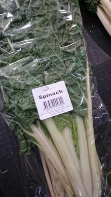 Fresh Spinach Bunch