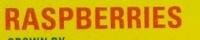 Raspberries Ingredients