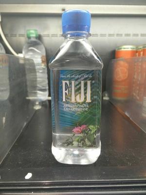 Fiji Eau Artsienne